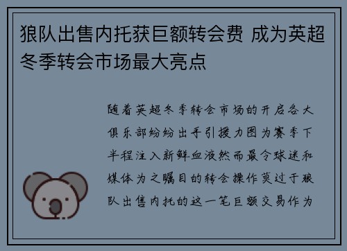 狼队出售内托获巨额转会费 成为英超冬季转会市场最大亮点 狼队出售内托获巨额转会费 成为英超冬季转会市场最大亮点